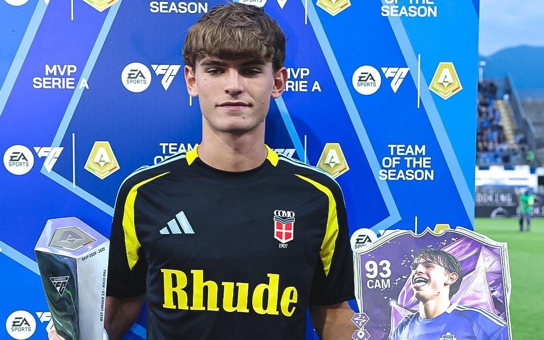 分析和解读 分析和解读